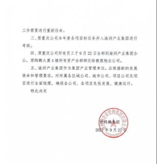 新鷗鵬戰略調整 撤銷重慶公司，員工并入渝州產業集團推動文化藝術交流